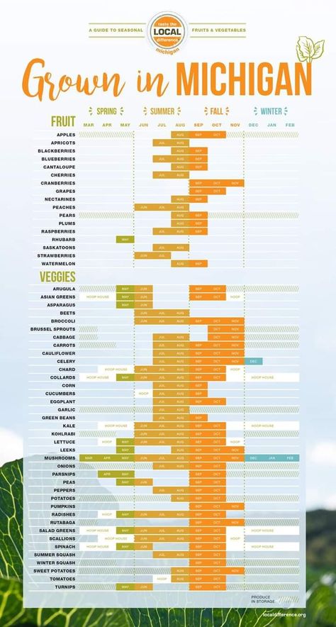 Homesteading In Michigan, Michigan Planting Calendar, Michigan Vegetable Garden, Gardening In Michigan, Vegetable Growing Chart, Homesteading Knowledge, Michigan Garden, Broccoli And Brussel Sprouts, Vegetable Chart