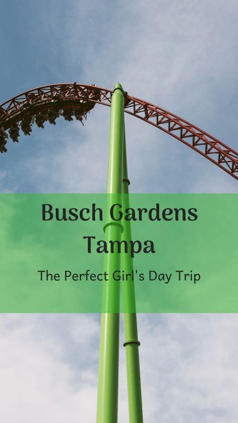 how to plan the best Busch Gardens Tampa girl's trip. Busch Gardens Tampa Bay, Busch Gardens Tampa, Adventure Essentials, Garden Centers, Couples Vacation, Florida Girl, Busch Gardens, Couples Retreats, Photography Words