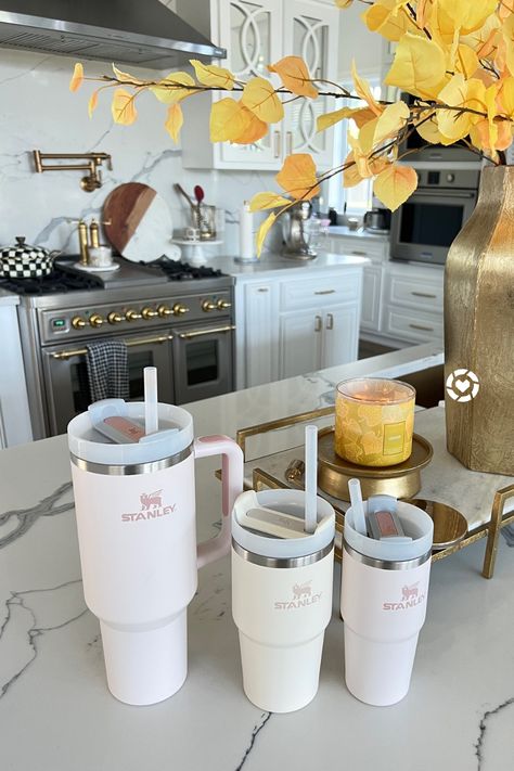 Stanley Water Cup, Stanley Quencher Cup, Stanley Cup Gift Ideas Filled, Stanley Cup Aesthetic, Stanley Bottle, Emily Ann Gemma, Aesthetic Influencer, Plastic Drink Bottles, Eating Food Funny