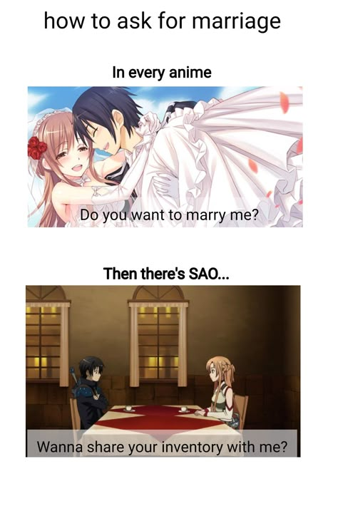 Sao Wallpapers, Sao Kirito And Asuna, Sao Memes, Kirito Sao, Asuna And Kirito, Sao Ggo, Kirito And Asuna, Otaku Issues, Funny Anime Memes