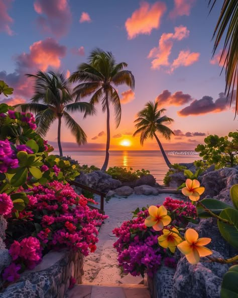 Flowerscape In Paradise, Tropical Ocean Aesthetic, Tropical Sunset Aesthetic, Tropical Sunset Wallpaper, Tropical Paradise Beach, Beautiful Ocean Pictures, Top Places To Travel, Simple Phone Wallpapers, Ocean Pictures