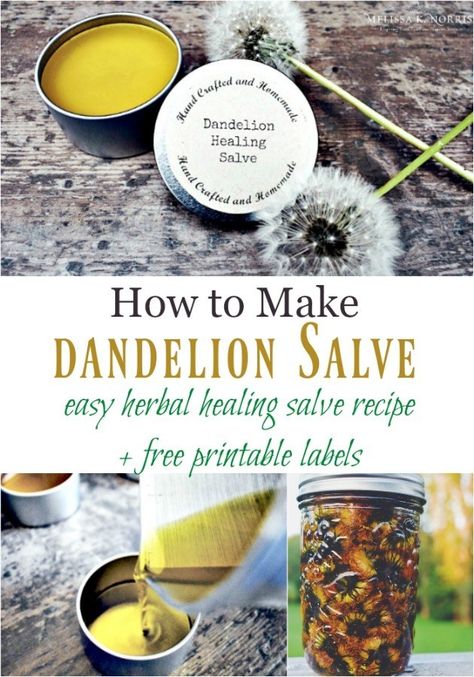 How to Make Dandelion Salve – DIY Herbal Healing Salve Dandelion Salve, Healing Salve Recipe, Healing Salve, Salve Recipes, Dandelion Jelly, Herbal Salves, Healing Recipes, Healing Salves, Natural Healing Remedies