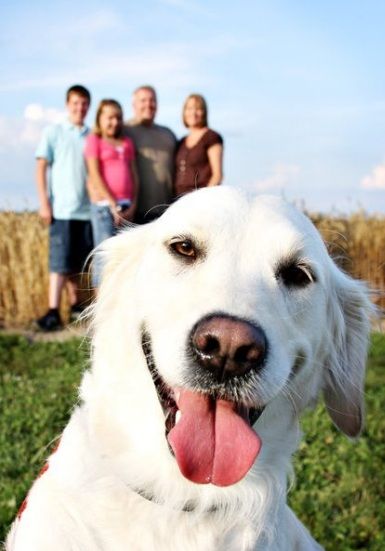 I wished I would have thought of this for Taylor before she passed away.  Although tough to do as she never left my side even until the end. Weird Trees, Photos With Dog, Foto Tips, Family Posing, Shooting Photo, Cute Family, Dog Photography, How To Pose, Poses For Pictures