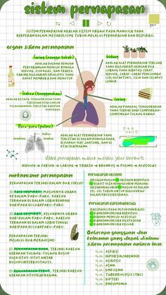 Materi Kelas 11, Materi Ipa Kls 8, Materi Kelas 6, Materi Kelas 7, Materi Kelas 8, Pelajaran Ipa, Study Biology, School Study Ideas, Science Notes