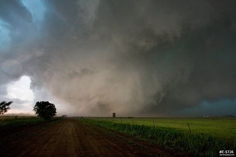 El Reno Tornado, Tornado Chasers, Oklahoma Tornado, Storm Pictures, Weather Photography, Storm Chaser, Storm Chasing, Weather Data, Severe Storms