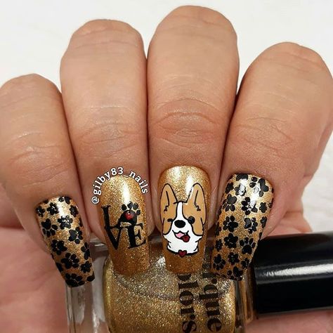 Check out our Corgi nail designs selection for the very best in unique or custom, handmade pieces. If you love Corgis you must do one of these manicures! Jack Nails, Black Corgi, Dog Nail Art, Animal Nail Designs, Bling Nail Art, Cat Nail Art, Corgi Dogs, Animal Nail Art, Animal Nails