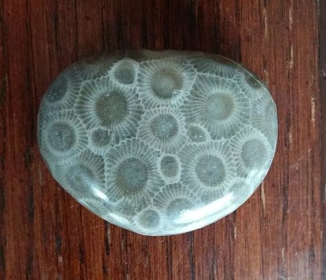 Petoskey Stone Tattoo, Petosky Stone, Stone Tattoo, Gems Crystals, Petoskey Stone, Hang Over, Patterns In Nature, Art Stuff, Art Inspo