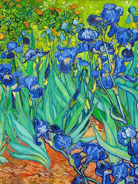 Amazon.com: jenesaisquoi Canvas Wall Art Famous Oil Paintings, Irises Floral Van Gogh Art Prints, Van Gogh Artwork Famous Art Posters Ready To Hang for Living Room, Bedroom, Office (Unframed, 12" x 16"): Posters & Prints Famous Oil Paintings, Van Gogh Artwork, Van Gogh Prints, Van Gogh Wall Art, Van Gogh Irises, Iris Painting, Vincent Van Gogh Art, Paintings Famous, Famous Artwork