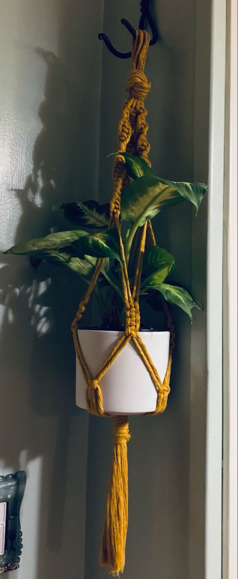 🌿easy to make mustard yellow macrame plant hanger 🌿 Easy Macrame Plant Hanger, Make Mustard, Yellow Macrame, Macrame Wall Hanging Tutorial, Easy Macrame, Yellow Plants, Bedrooms Decor, Master Bedrooms, Master Bedrooms Decor