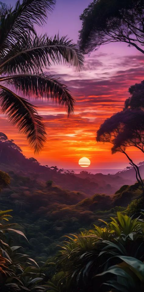 Jungle Sunset, Sunset Wallpaper, Wallpaper Nature, Mood Board, Vision Board, Wallpapers, India, Lifestyle, Beauty