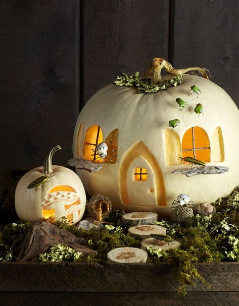 Carve These Enchanted Forest Scene Pumpkins Pumpkin Fairy House, Pumpkin Carving Stencils Free, Pumpkin Stencils Free, Halloween Pumpkin Stencils, Pumkin Carving, Halloween Decor Diy, Creative Pumpkin Carving, Pumpkin Carving Designs, Halloween Stencils