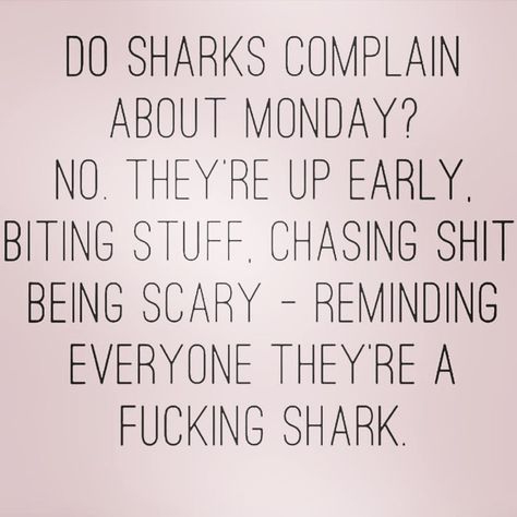 Motavational Quotes, Shark Quotes, Complaining Quotes, Mommy Shark, Motivation Monday, Wealthy Affiliate, Workout At Work, Pink Quotes, Simple Quotes