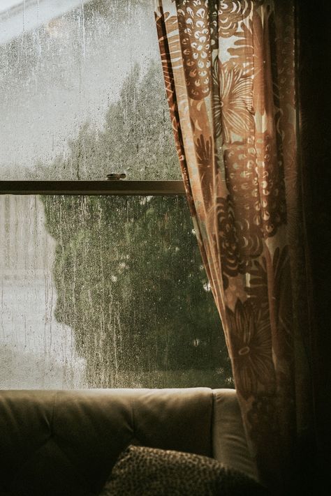 Download premium image of Rainy day outside the window by Felix about rain, window, rainy, rain window and Rainy day 2268792 Dark Academia Aesthetic Wallpaper, Rainy Window, Rain Window, Rainy Mood, Html Color Codes, Window Photography, Rain Aesthetic, About Rain, Outside The Window