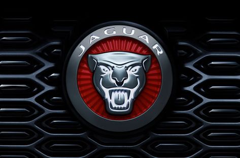 Anyone familiar with the ILLUMINATED Jag grill badge? - Jaguar I-Pace EV400 Forum Jaguar Car Logo, Jaguar Suv, Luxury Car Logos, Porsche Macan Gts, New Jaguar, Pompe A Essence, Jaguar Cars, Chevrolet Volt, Car Deco