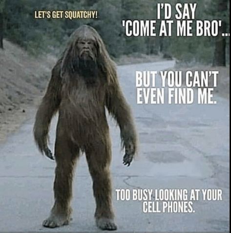 Bigfoot Quotes, Sasquatch Funny, Mystic Creatures, Bigfoot Stories, Mountain Monsters, Bigfoot Pictures, People Humor, Bigfoot Art, Finding Bigfoot