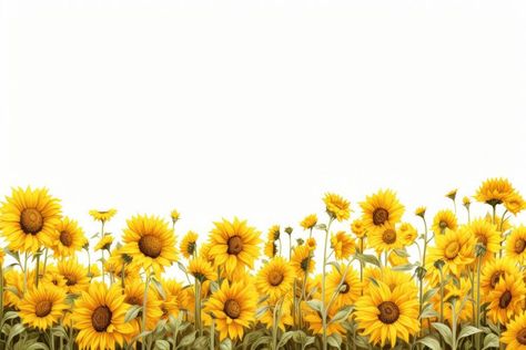 Sunflower field backgrounds outdoors nature. AI generated Image by rawpixel. | premium image by rawpixel.com / Jigsaw Sunflower White Background, Background Sunflower, Sunflower Background, Sunflower Images, Sunflowers Background, Sunflower Field, Sunflower Fields, Textured Background, Collage Art