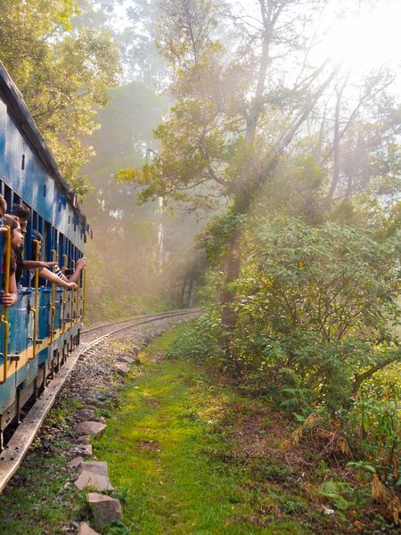 Ridding Ooty toy train Photo by Sergio Nogueira — National Geographic Your Shot Train Pic, Photography Story, Train Photo, Ooty, Train Photography, Hill Station, Story Telling, World Photo, National Geographic Photos