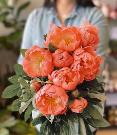 Orange Peony Bouquet, Coral Sunset Peony, Surrender Art, Peonies Orange, Orange Peonies, Orange Peony, Bridal Era, Coral Peony, Peach Bouquet