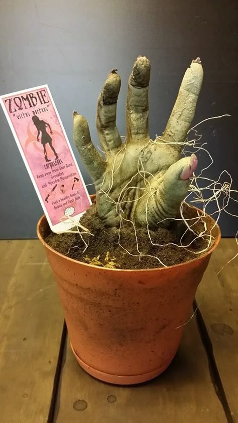 Zombie Theme Decorations, Zombie Plants, Haunted Garden Halloween Decor, Zombie Centerpieces, Zombie Office Decorations, Spooky Things, Zombie Diy, Zombie Hands, Spooky Garden