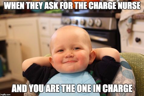 When They Ask For the Charge Nurse and You Are the One In Charge Pooped My Pants, Friday Memes, Funny Baby Faces, Charge Nurse, Funny Friday, Friday Meme, Nursing Quotes, Funny Friday Memes, Friday Quotes Funny