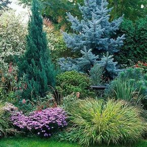 This soothing backdrop uses landscape layering, repetition, scale and flow to achieve a beautiful backdrop Blue Atlas Cedar Landscaping Front Yards, Ravine Landscaping Ideas, Evergreen Landscape Backyards, Juniper Landscaping Ideas, Alabama Landscape, Pine Tree Garden, Rock Wall Ideas, Evergreen Landscape Front Yard, Evergreen Landscaping