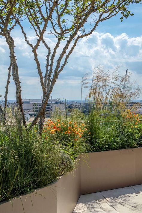 Mayfair Penthouse - Roof Terrace Garden - Cameron Roof Terrace Garden, Penthouse Roof, Penthouse Garden, Terrace Designs, Terrace Gardens, Roof Terraces, Luxurious Penthouse, Terraced Landscaping, Roof Garden Design