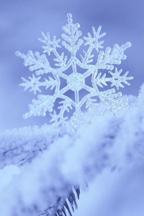 Beautiful Snow Flakes Snowflake Wallpaper, Snow Crystal, Christmas Phone Wallpaper, Winter Background, Winter Wallpaper, Winter Magic, Winter Scenery, Winter Pictures, 판타지 아트