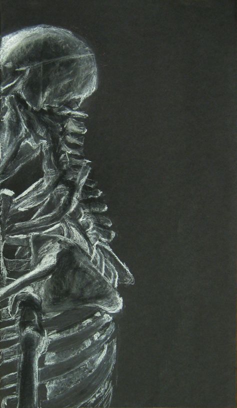 skeleton White Charcoal On Black Paper, Charcoal On Black Paper, Charcoal Ideas, Drawing With Charcoal, Forest Book, Skeleton Drawings, Gcse Art Sketchbook, Black Paper Drawing, Charcoal Art