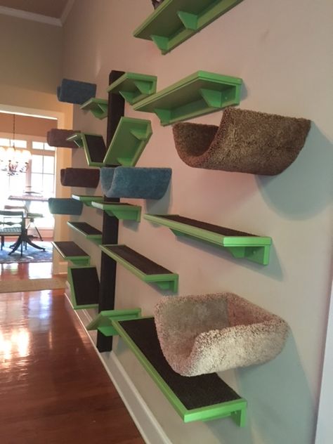 Vertical Space Catification Ideas at http://www.fundamentallyfeline.com/products-services/vertical-space/ Cat Climbing Wall Carpet, Cat Highway, Cat Walls, Catification Ideas, Cat Walkway, Sunny Apartment, Mario Room, Cat Climbing Wall, Cat Space