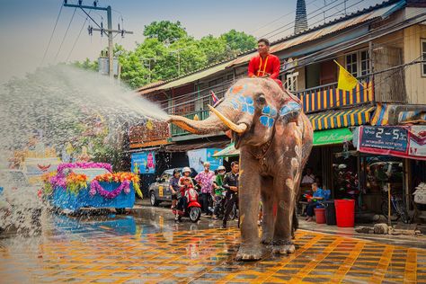 Splendours Songkran Parade Street Food Thailand, Thailand Shopping, Thailand Destinations, Thai Islands, Songkran Festival, Spring Getaway, Celebration Around The World, Thailand Holiday, Festival Image