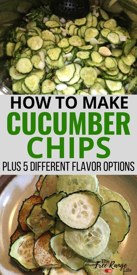 Dehydrating cucumbers into crunchy cucumber chips is a great way to preserve cucumbers from your garden. You can make BBQ chips, ranch chips, other flavors of your choice. All you need is a dehydrator! Dehydrate Cucumber Chips, Dehydrating Cucumbers Cucumber Chips, Dehydrated Cucumber Chips Recipes, Air Fried Cucumber Chips, Freeze Dried Cucumber Chips, Ways To Preserve Cucumbers, Air Fried Cucumbers, Cucumber Chips Dehydrator, Air Fryer Cucumber Chips