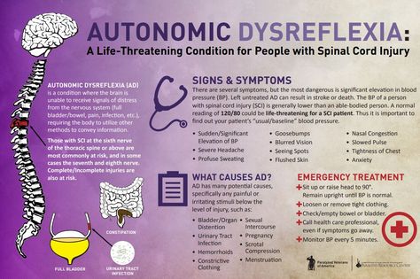 Autonomic Dysreflexia >>> See it. Believe it. Do it. Watch thousands of spinal cord injury videos at SPINALpedia.com Autonomic Dysreflexia Nursing, Spinal Cord Injuries Nursing, Neuro Nursing, Autonomic Dysreflexia, Rehab Nursing, Nursing Things, Graduation Nursing, Spinal Cord Injuries, Physical Therapy Student