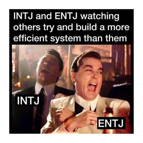 Entj And Intj Relationship, Mbti Entj, Entj Relationships, Intj Humor, Entj Personality, Intj Women, Intj T, Intj And Infj, Infj Mbti