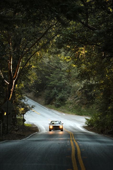 Driving a car along a beautiful road. Unique Business Ideas, Nature Photography Trees, Lavish Lifestyle, India Travel Guide, Beautiful Roads, Travel Quotes Wanderlust, Forest Road, Forest Path, Forest Pictures