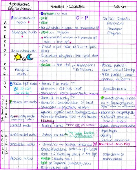 Brain Anatomy And Function, Charting For Nurses, Study Guide Template, Med Notes, Bachelor Of Science In Nursing, Medical Notes, Mcat Study, Medical Graduate, Nurse Jackie