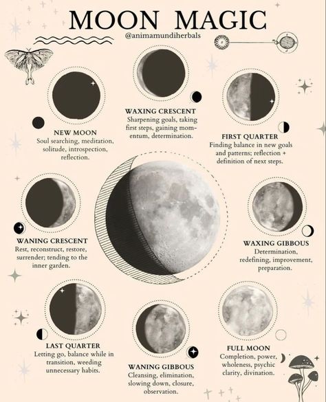 Lunar Birth Phase, New Moon Illustration, Moon Madness, Lunar Witch, Lunar Magic, Moon Phase Calendar, Moon Reading, Moon Magick, The Phases Of The Moon