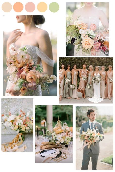 Elegant Peach, Cream, and Green Wedding Color Palette Green Peach Gold Color Palette, Olive Wedding Color Palette, Olive Green And Peach Color Palettes, Peach Green White Wedding Color Schemes, Moss Green And Peach Wedding, Pastel Peach Wedding Theme, Dusty Peach Wedding, Green And Apricot Wedding, Peach Pink And Green Wedding