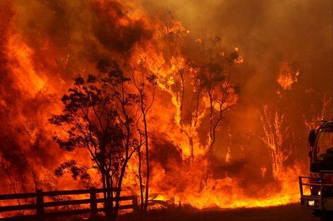 Bushfires In Australia, Fire Painting, Fire Photography, Australian Bush, Pastel Sec, Wild Fire, Fire Service, Forest Fire, Outdoor Event