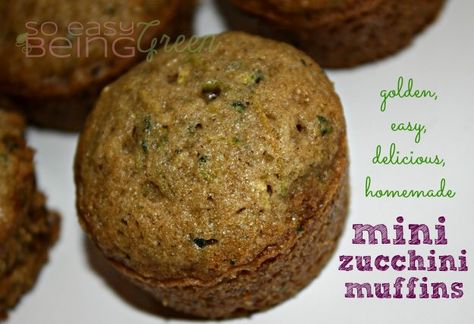 Mini Zucchini Muffins Zucchini Mini Muffins, Zucchini Muffin Recipes, Muffins Easy, Easy Zucchini, Zucchini Muffins, Southern Lifestyle, Zucchini Bread, Mini Muffins, Yummy Sweets