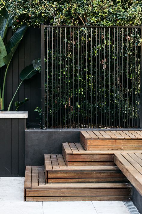 Randwick Spotted Gum Decking, Philodendron Xanadu, Eco Outdoor, Timber Stair, Concrete Bench, Pool Landscape Design, Modern Fence, Modern Backyard, Outdoor Gardens Design