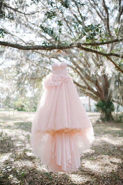 Blush ballgown wedding dress from David's Bridal Pink Wedding Gowns, Pink Wedding Dress, Pink Wedding Dresses, Blush Bride, Princess Wedding Dress, Pastel Wedding, Blush Wedding, Florida Wedding, Beautiful Wedding Dresses