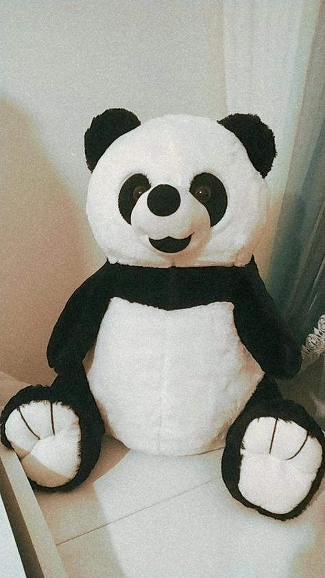 Panda Toys Teddy Bears, Panda Teddy Bear Snapchat, Soft Toys Snapchat Stories, Panda Soft Toy, Big Teddy Bears, Panda Videos, Hug Photos, Panda Teddy, Aesthetic Pic Ideas