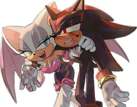 Rouge And Shadow, Shadow And Rouge, Shadow And Amy, Hedgehog Movie, Rouge The Bat, Sonic Heroes, Sonic Fan Characters, Sonic Franchise, Sonic Adventure