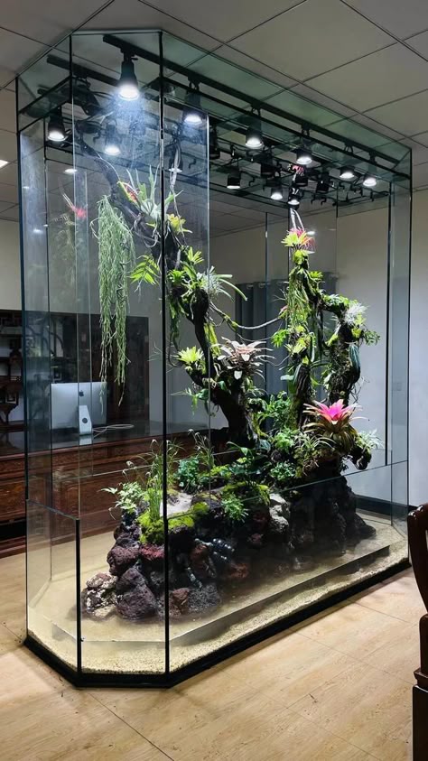 Tropical Terrarium Ideas, Paladarium Design, Indoor Ecosystem, Paludarium Ideas, Tropical Terrariums, Fish Tank Themes, Fish Tank Terrarium, Aquascape Design, Indoor Water Garden