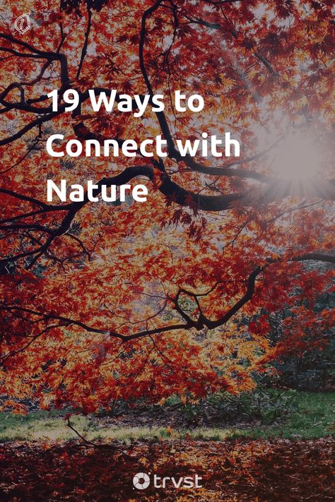 Ways To Connect With Nature, How To Connect With Nature, Connect To Nature, Nature Connection, Connecting With Nature, Protect Nature, Nature Sketch, Connect With Nature, Forest Bathing