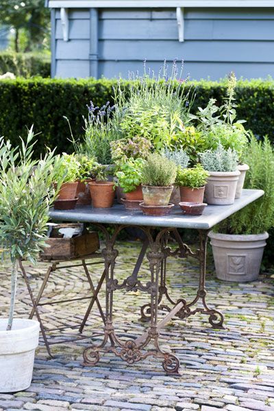 TARA DILLARD: Creaturely Comfort: Pot Tables Garden Care, Courtyard Garden, Garden Cottage, Country Gardening, Garden Table, Kitchen Garden, Garden Paths, Dream Garden, Herb Garden