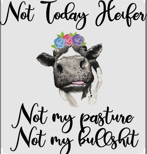 Not today... just no... #nottoday #nottodayheifer #nope Not Today Heifer Tumbler, Not Today Heifer Svg, Heifer Sayings, Not My Pasture, Not Today Heifer, A Cow, Not Today, Cricut Projects Vinyl, Funny Signs