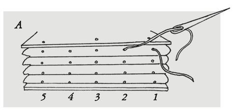 Coptic Stitch Bookbinding Stitches, Stitch Binding, Coptic Stitch, Bookbinding Tutorial, Book Binding Diy, How To Stitch, Binding Tutorial, Bookmaking, Book Folding