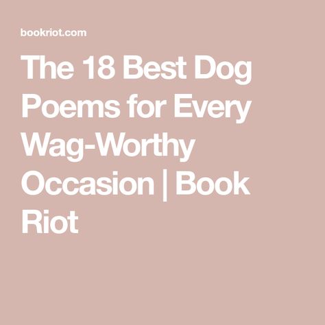 The 18 Best Dog Poems for Every Wag-Worthy Occasion | Book Riot Dog Poems Happy, Poems About Dogs, Dog Poetry, Dog Poems, Lyric Poem, Feminist Books, Funny Poems, Short Dog, Dog Haircuts