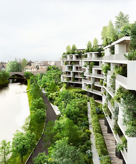 stefano boeri architetti to construct urban forest in treviso, northern italy Campus Landscape Design, Green Cities, Stefano Boeri, Vertical Forest, Riverside Apartment, Urban Forest, Apartment Architecture, Australian Architecture, Green Architecture